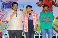 Annapurnamma Gari Manavadu Movie Press Meet
